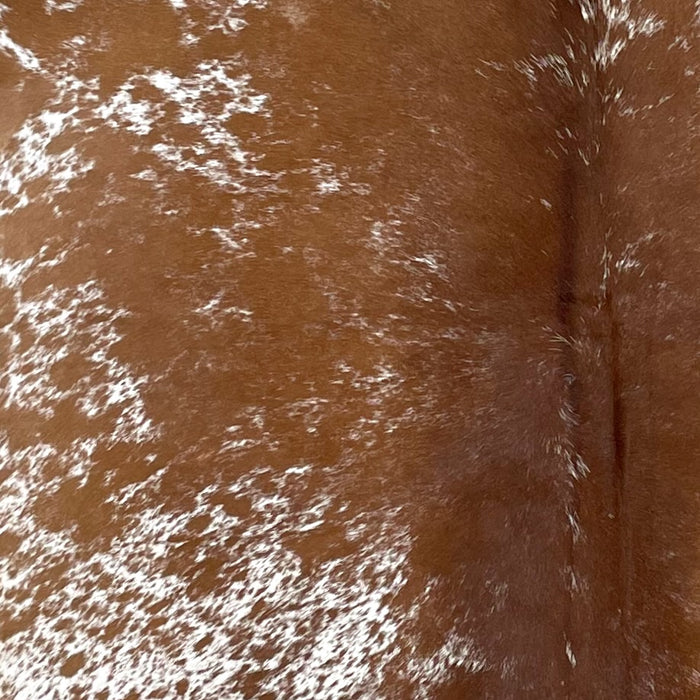 Closeup of this Speckled Brazilian Cowhide, showing white with brown speckles and spots, and mostly solid brown down the middle of the back  (BRSP3207)