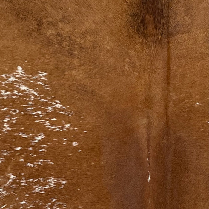 Closeup of this Speckled Brazilian Cowhide, showing reddish brown, with white speckles and spots, and some black speckles down the middle of the shoulder (BRSP3208)