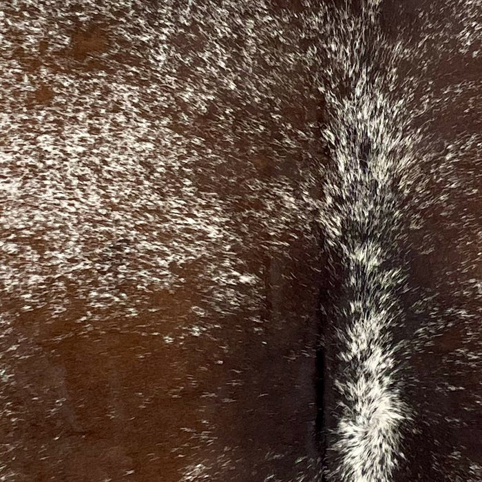 Closeup of this Speckled Brazilian Cowhide, showing white with reddish brown and dark brown speckles and spots (BRSP3209)