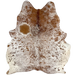 White and Reddish Brown Speckled Brazilian Cowhide: white with reddish brown speckles and spots - 5'9" x 5' (BRSP3210)