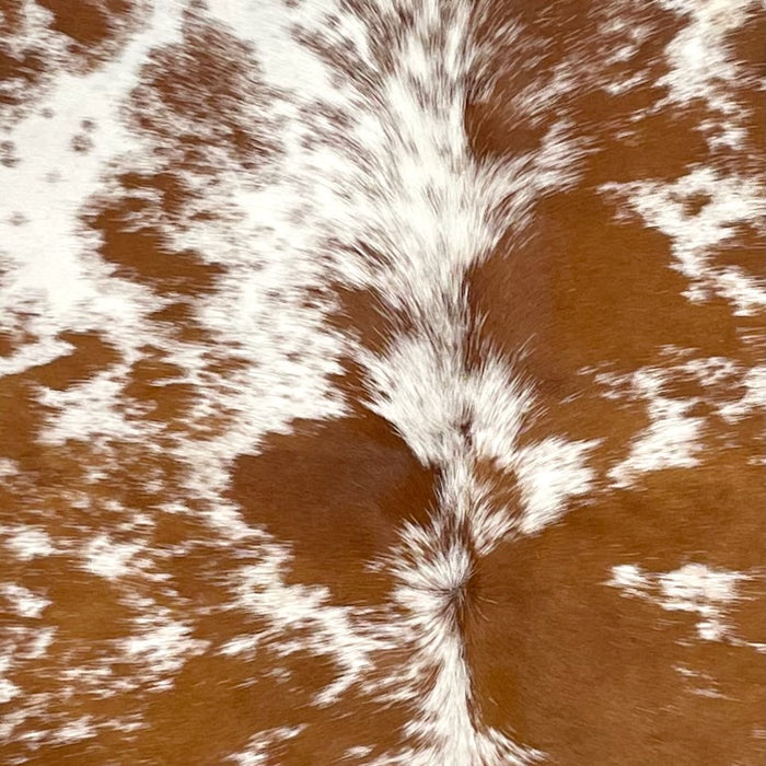 Closeup of this Speckled Brazilian Cowhide, showing white with reddish brown speckles and large and small spots (BRSP3214)