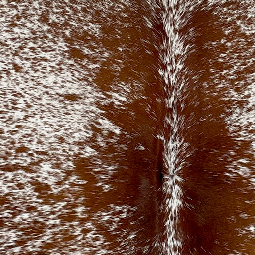 Closeup of this Speckled Brazilian Cowhide, showing white with reddish brown speckles and spots (BRSP3217)