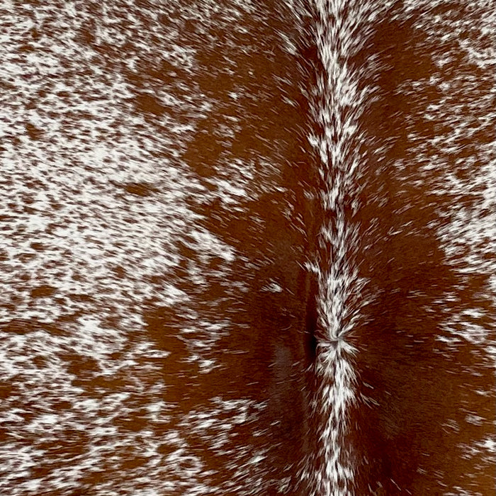Closeup of this Speckled Brazilian Cowhide, showing white with reddish brown speckles and spots (BRSP3217)