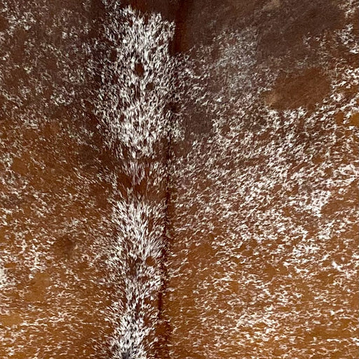 Closeup of this Speckled Brazilian Cowhide, showing white with golden brown speckles and spots, and chocolate on the shoulder (BRSP3218)