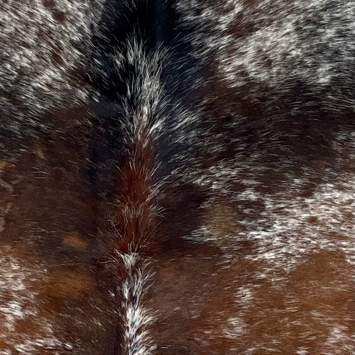 Closeup of this Tricolor Speckled Brazilian Cowhide, showing white with brown and black speckles and spots (BRSP3219)