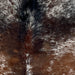 Closeup of this Tricolor Speckled Brazilian Cowhide, showing white with brown and black speckles and spots (BRSP3219)