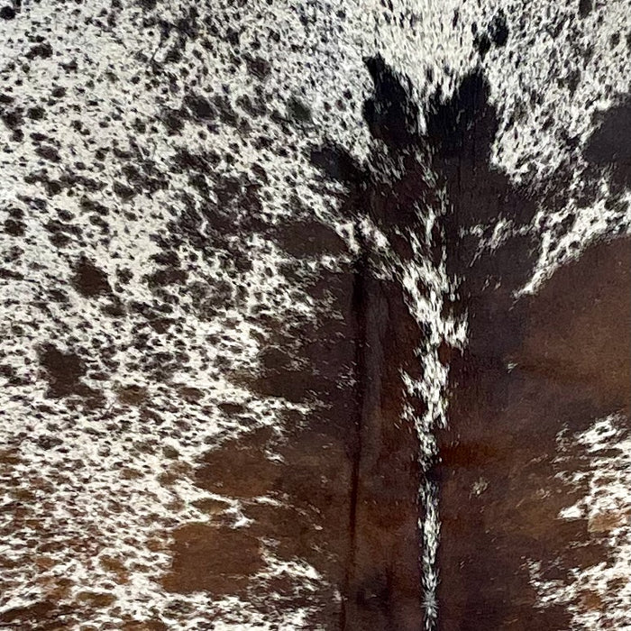 Closeup of this Tricolor Speckled Brazilian Cowhide, showing white with brown and black speckles and spots (BRSP3220)