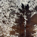 Closeup of this Tricolor Speckled Brazilian Cowhide, showing white with brown and black speckles and spots (BRSP3220)