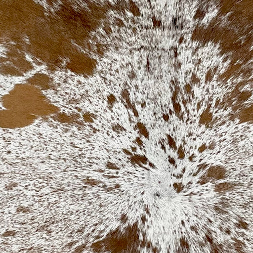Closeup of this Speckled Brazilian Cowhide, showing white with brown speckles and spots (BRSP3221)
