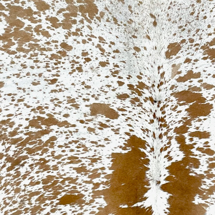 Closeup of this Speckled Brazilian Cowhide, showing white with brown speckles and spots (BRSP3223)