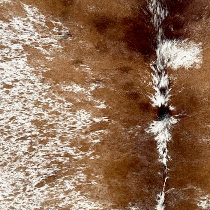 Closeup of this Large Speckled Brazilian Cowhide, showing white with brown speckles and spots (BRSP3226)