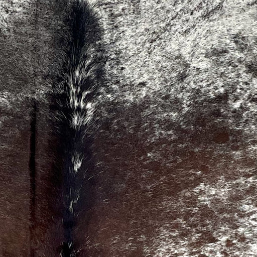 Closeup of this Large Tricolor Speckled Brazilian Cowhide, showing white with chocolate and black speckles and spots  (BRSP3227)