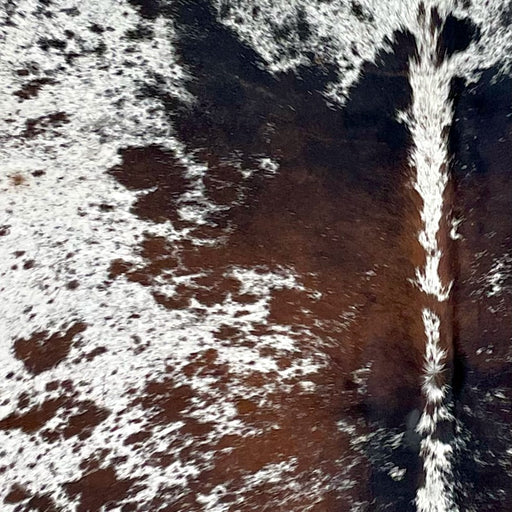 Closeup of this Tricolor Speckled Brazilian Cowhide, showing white with brown and black speckles and spots (BRSP3228)