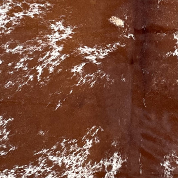 Closeup of this Speckled Brazilian Cowhide, showing reddish brown with white spots that have reddish brown speckles (BRSP3229)