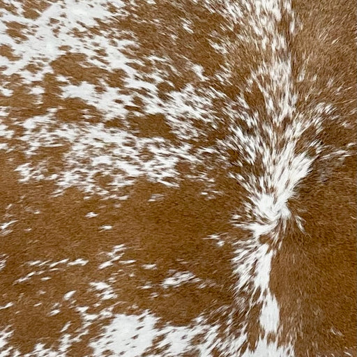Closeup of this Speckled Brazilian Cowhide, showing white with brown spots and speckles (BRSP3231)
