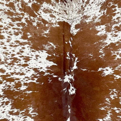 Closeup of this Large Speckled Brazilian Cowhide, showing white with reddish brown speckles and spots (BRSP3237)