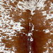 Closeup of this Large Speckled Brazilian Cowhide, showing white with reddish brown speckles and spots (BRSP3237)