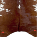 Closeup of this Large Reddish Brown and White Speckled Brazilian Cowhide, showing one brand mark on each side of the butt (BRSP3237)