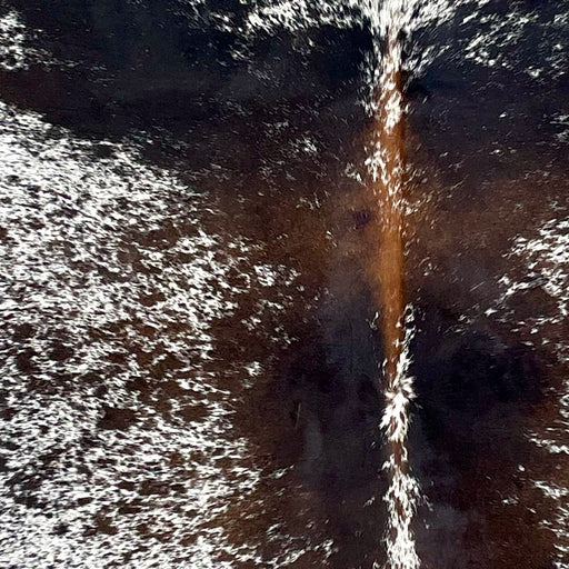 Closeup of this Tricolor Speckled Brazilian Cowhide, showing white with brown and black speckles and spots, and reddish brown down part of the spine  (BRSP3238)