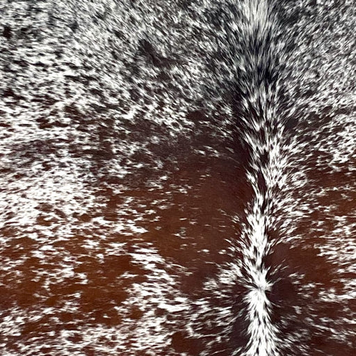 Closeup of this XL Tricolor Speckled Brazilian Cowhide, showing white with brown and black speckles and spots  (BRSP3239)