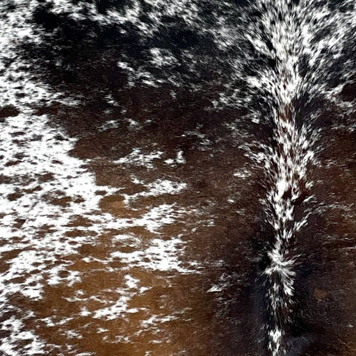 Closeup of this Tricolor Speckled Brazilian Cowhide, showing white with brown and black spots and speckles (BRSP3241)