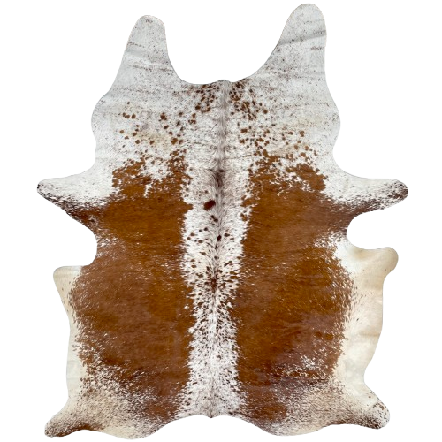 Large Reddish Brown and White Speckled Brazilian Cowhide: white with reddish brown speckles down the middle and on the shoulder, butt, and shanks, and reddish brown, with white speckles down both side of the back - 7'6" x 5'5" (BRSP3244)