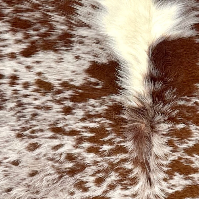Closeup of this XL Speckled Brazilian Cowhide, showing long hair that is white with dark, reddish brown speckles and spots, and off-white down the middle of the shoulder (BRSP3246)
