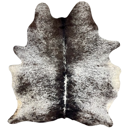 Large Dk Chocolate and White Speckled Brazilian Cowhide: white with dark chocolate and blackish brown speckles and spots, and longer hair down the spine - 7'5" x 5'10" (BRSP3247)