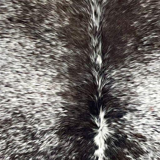 Closeup of this Large Speckled Brazilian Cowhide, showing white with dark chocolate and blackish brown speckles and spots, and longer hair down the spine (BRSP3247)