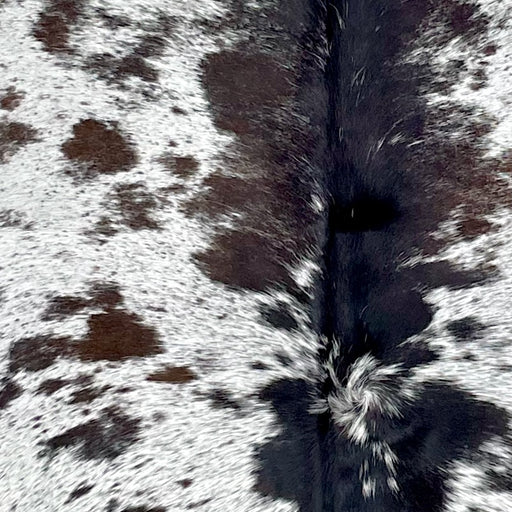 Closeup of this Large Speckled Brazilian Cowhide, showing white with dark brown speckles and spots (BRSP3249)