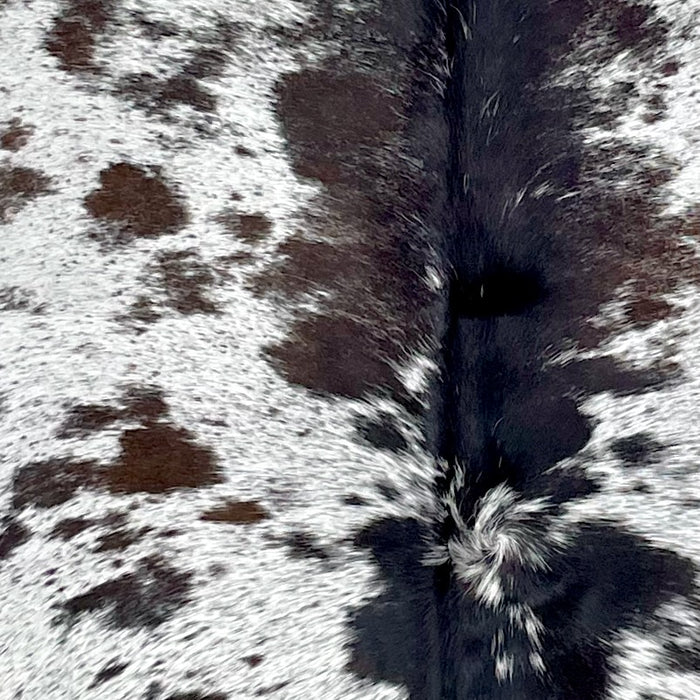 Closeup of this Large Speckled Brazilian Cowhide, showing white with dark brown speckles and spots (BRSP3249)