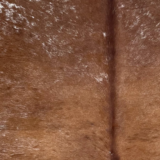 Closeup of this Large Speckled Brazilian Cowhide, showing brown with white speckles and spots (BRSP3251)