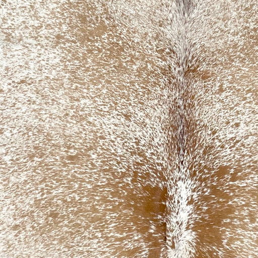 Closeup of this Speckled Brazilian Cowhide, showing white with caramel speckles and spots (BRSP3256)