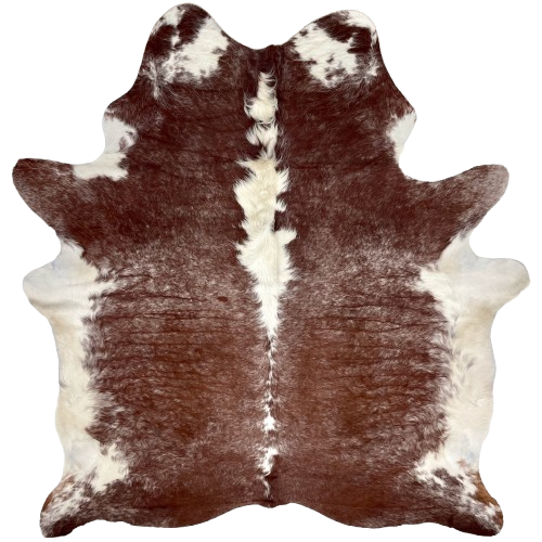 Large Brown and White Speckled Brazilian Cowhide: has long hair that is brown with white speckles, a few white spots, and off-white on the belly and down part of the spine- 7'7" x 6'1" (BRSP3257)