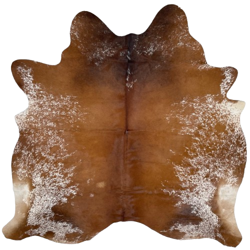 Brown and White Speckled Brazilian Cowhide: solid brown down the middle and white with brown speckles and spots on the belly, butt, shanks, and part of the shoulder - 6'7" x 6'1" (BRSP3258)