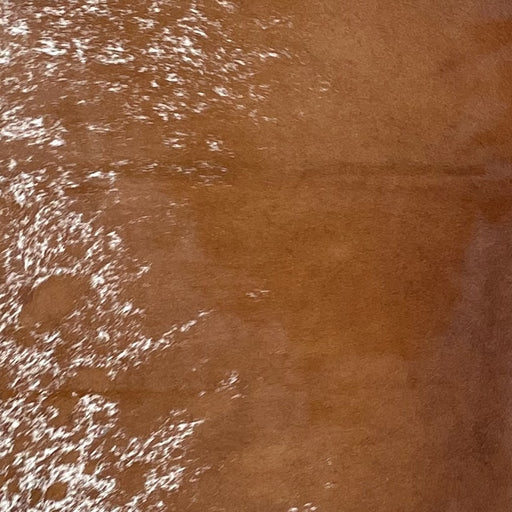 Closeup of this Speckled Brazilian Cowhide, showing solid brown down the middle and white with brown speckles and spots on the belly (BRSP3258)
