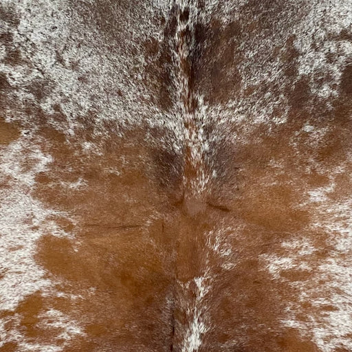 Closeup of this Speckled Brazilian Cowhide, showing white with reddish brown, medium brown, and blackish brown spots and speckles (BRSP3260)