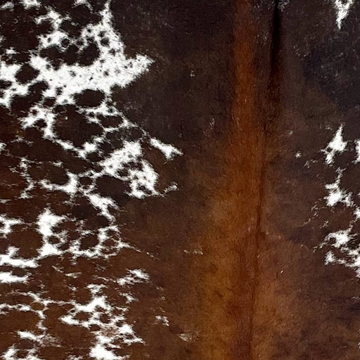 Closeup of this Speckled Brazilian Cowhide, showing white with reddish brown and dark brown speckles and spots  (BRSP3265)