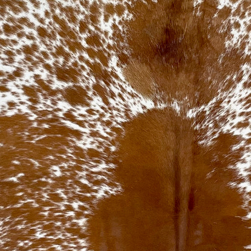 Closeup of this Speckled Brazilian Cowhide, showing white with reddish brown speckles and large and small spots  (BRSP3267)