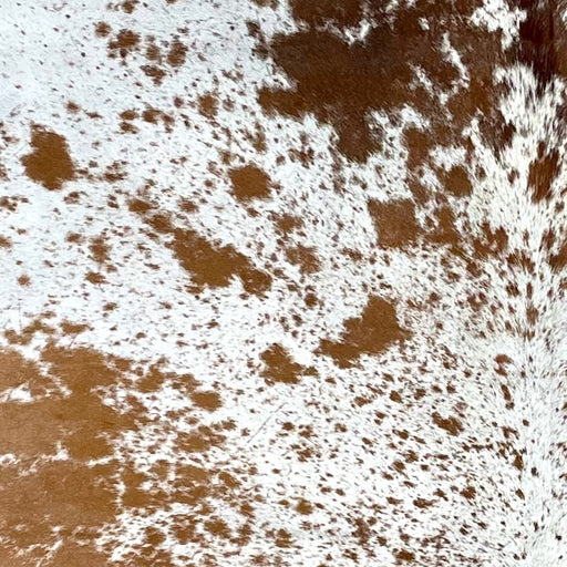 closeup of this Tricolor Speckled Brazilian Cowhide, showing white with caramel and dark brown speckles and spots  (BRSP3268)