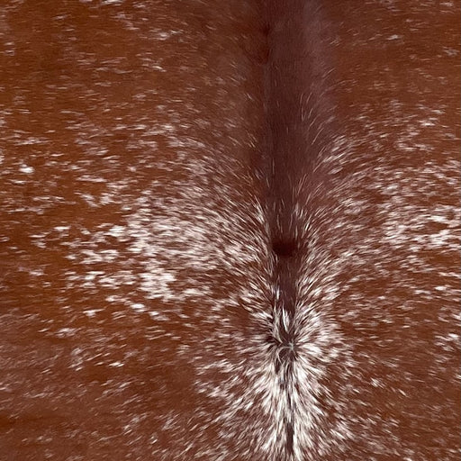 Closeup of this Speckled Brazilian Cowhide, showing reddish brown with white speckles and spots (BRSP3269)