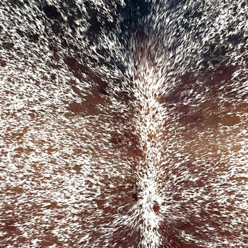 Closeup of this Tricolor Speckled Brazilian Cowhide, showing off-white with brown and black speckles and spots (BRSP3271)