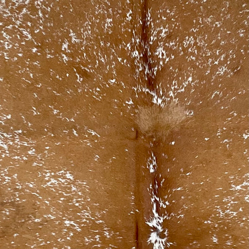 Closeup of this Large Speckled Brazilian Cowhide, showing caramel with white speckles and spots (BRSP3272)
