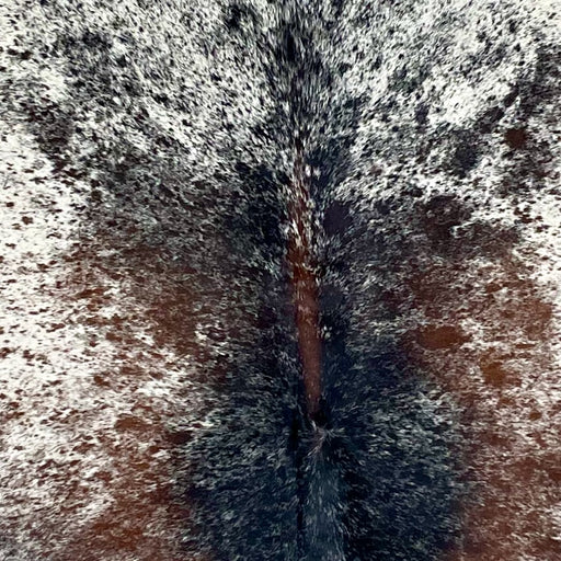 Closeup of this Large Tricolor Speckled Brazilian Cowhide, showing white with black and brown speckles and spots (BRSP3274)