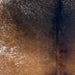 closeup of this Tricolor Speckled Brazilian Cowhide, showing brown and black with white speckles and spots (BRSP3275)