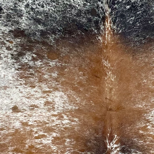 closeup of this Tricolor Speckled Brazilian Cowhide, showing white with brown and black speckles and spots (BRSP3278)