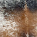 closeup of this Tricolor Speckled Brazilian Cowhide, showing white with brown and black speckles and spots (BRSP3278)