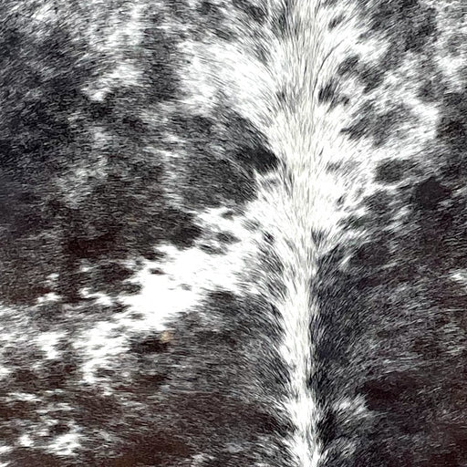 Closeup of this Large Tricolor Speckled Brazilian Cowhide, showing a mix of dark brown and black, with white speckles on the back, and white with dark brown and black speckles and spots on the shoulder (BRSP3285)