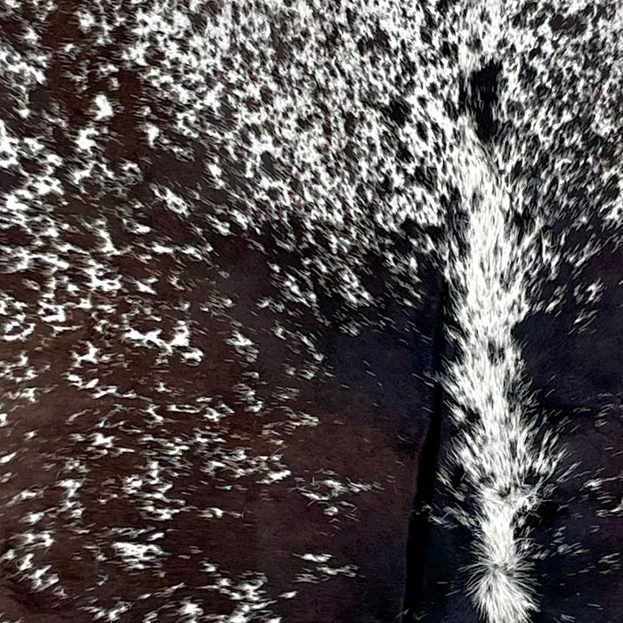 Closeup of this Tricolor Speckled Brazilian Cowhide, showing white with brown and black spots and speckles (BRSP3286)