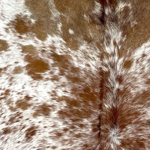 Closeup of this Large Speckled Brazilian Cowhide, showing white with reddish brown and chocolate speckles and spots  (BRSP3287)